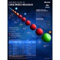 HDx large middle molecules poster (English)Paper Laminated Version HDx large middle molecules poster (English)Paper Laminated Version