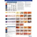 PERITONEAL CATHETER EXIT SITE CLASSIFICATION GUIDE Poster (French)Paper Laminated Version PERITONEAL CATHETER EXIT SITE CLASSIFICATION GUIDE Poster (French)Paper Laminated Version